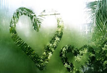 虎扑上的NBA历史得分榜都有哪些看点和细节？